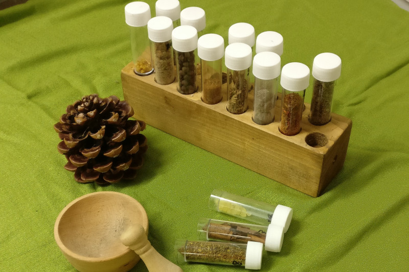 Getrocknete Kräuter und Blüten in Glasröhrchen